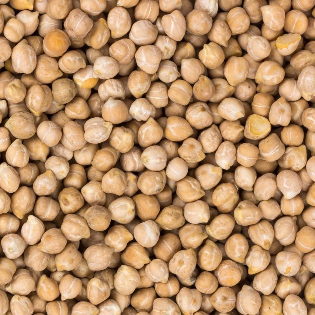 10 lbs of dried chick peas from Papagino Foods Inc., showing a bag of whole, raw chickpeas suitable for cooking and recipes.