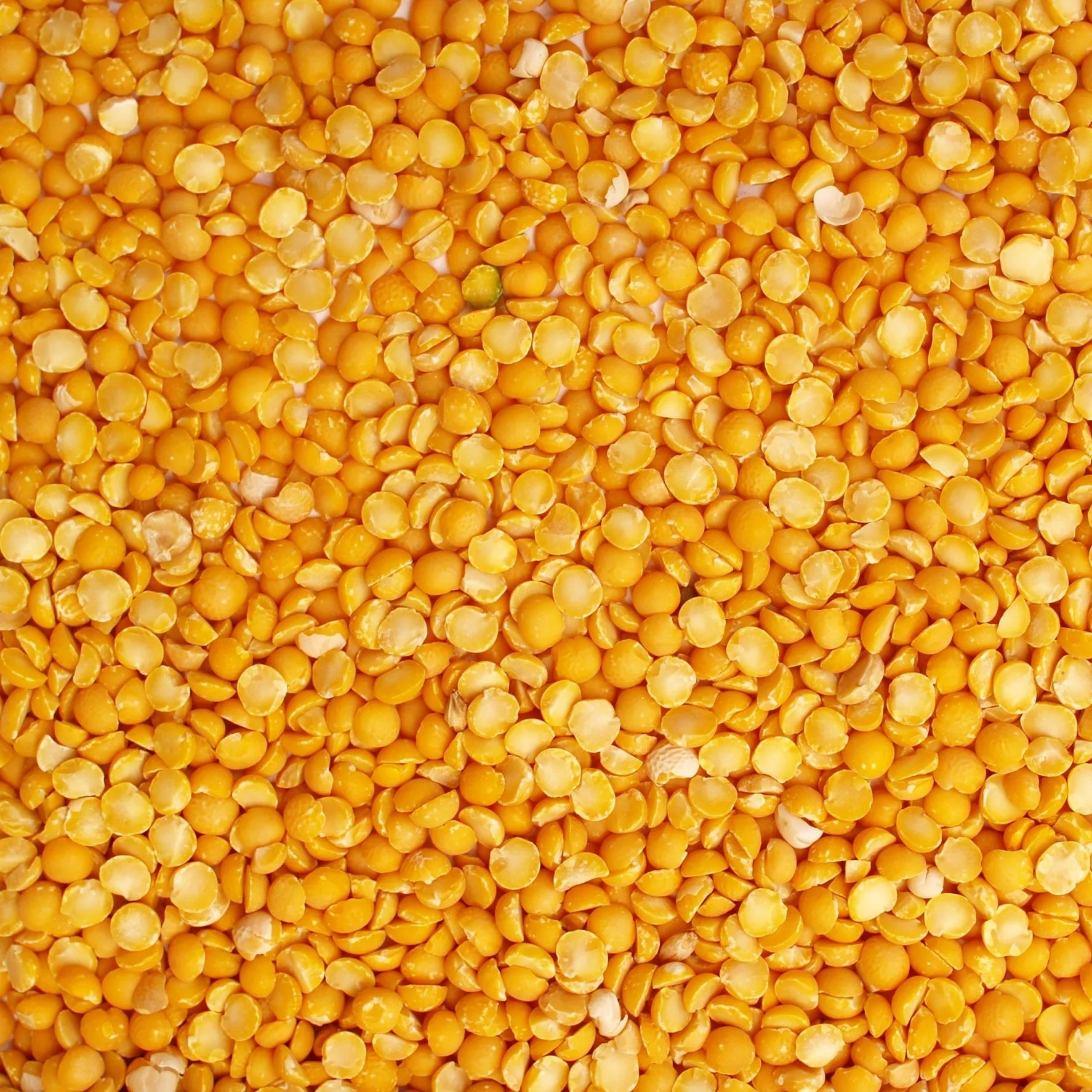 Yellow split peas in a 10-pound bag by Papagino Foods Inc., showing vibrant yellow dried legumes.