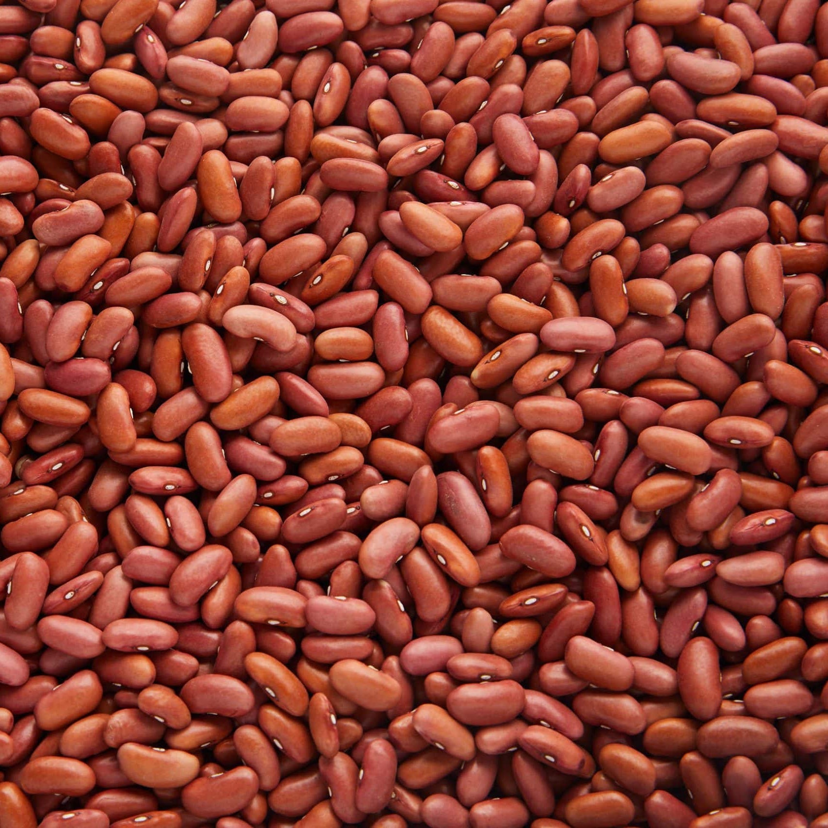 Light red kidney beans from Papagino Foods Inc. in a 5 kg bag, showing plump, shiny beans ready for cooking.