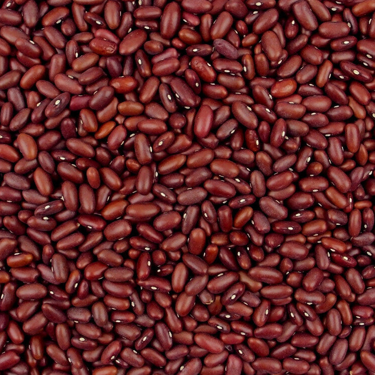 Dark red kidney beans from Papagino Foods Inc. in a 5 kg bag, showcasing the plump, glossy beans ready for cooking.