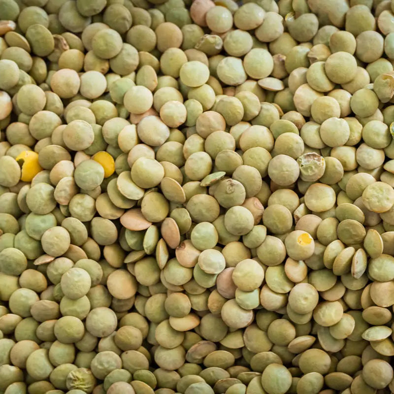 Green lentils in a 5 kg bag from Papagino Foods Inc., showing fresh, whole green lentils ready for cooking.