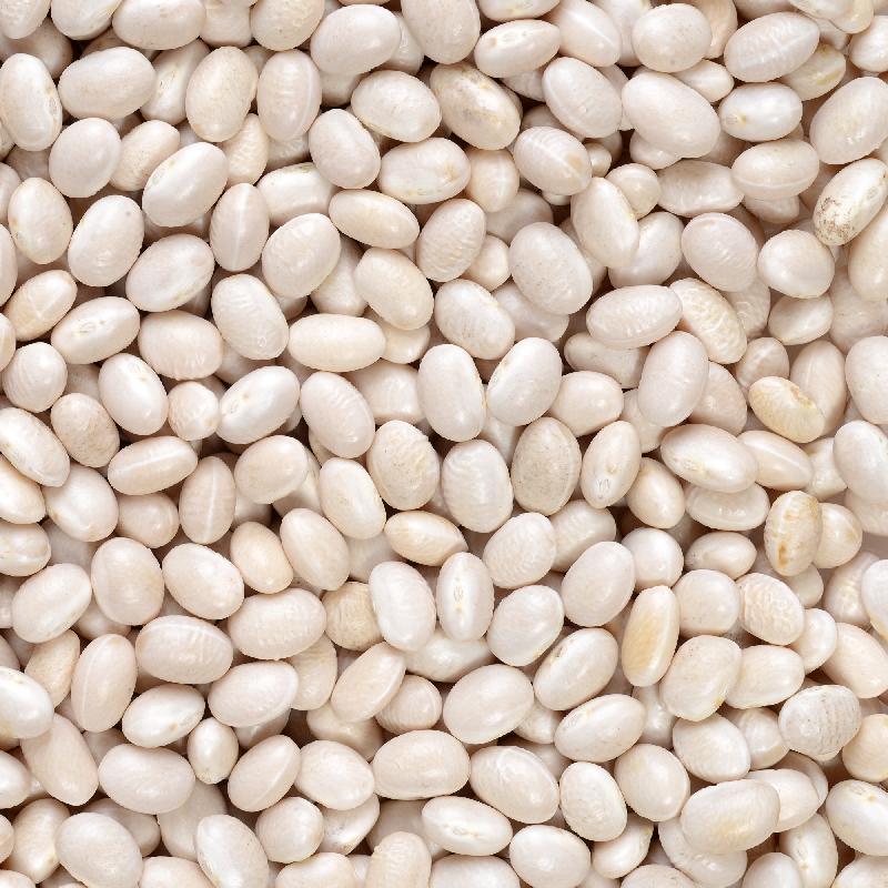 Navy white beans in a 5 kg bag from Papagino Foods Inc., showing the white beans inside the packaging.