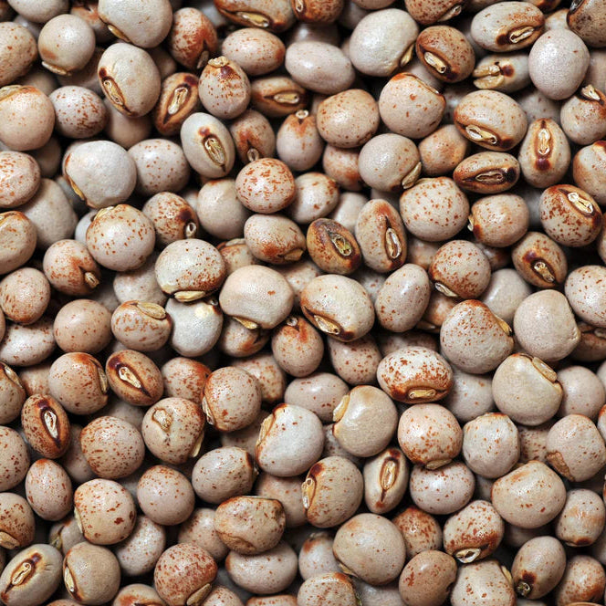 15 lb bag of Pigeon Peas from Papagino Foods Inc., showing a bulk package of dried pigeon peas in a clear bag.