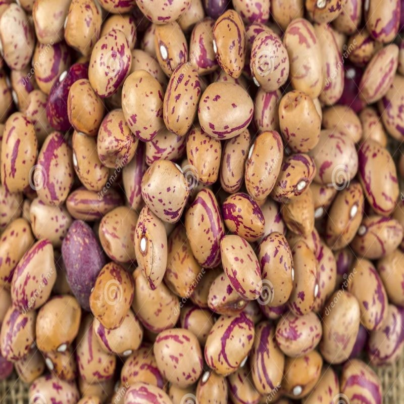 Fresh Romano beans in a 5 kg bag from Papagino Foods Inc., showcasing vibrant green beans ready for cooking or storage.