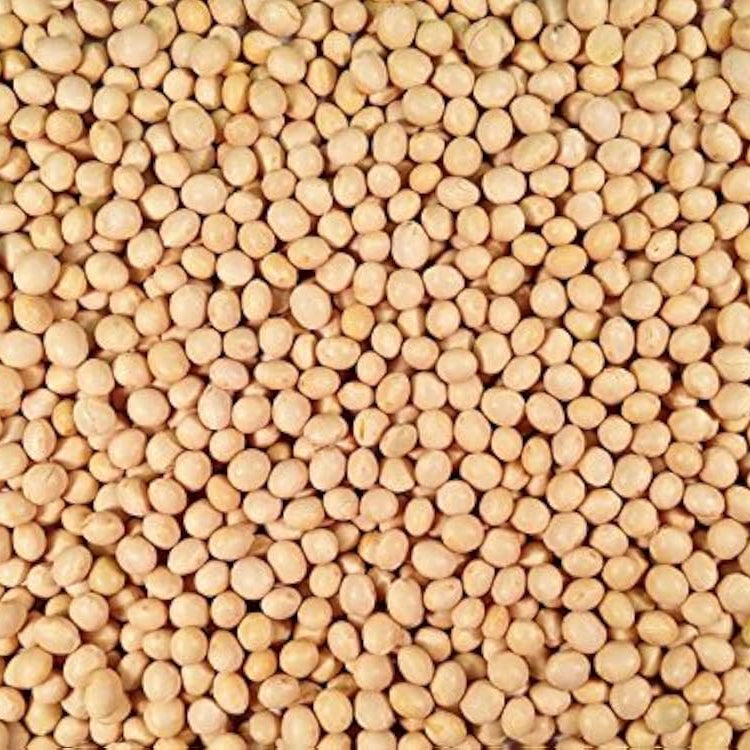 A 10 lb bag of Soya Beans from Papagino Foods Inc., showing fresh soy beans in a clear bag with a white label.