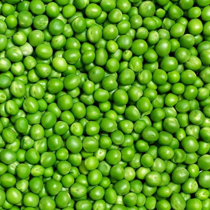 Whole green peas in a 10 lb bag from Papagino Foods Inc., fresh and vibrant green peas ready for cooking or snacking.