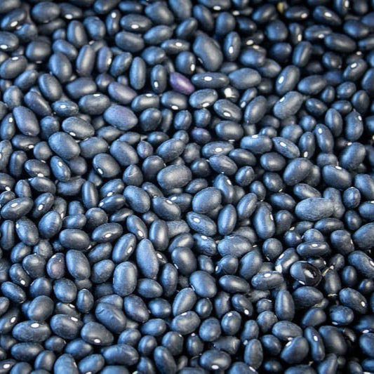 Black turtle beans in a 5 kg bag from Papagino Foods Inc., showing the packaged beans ready for cooking or storage.
