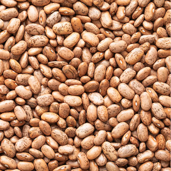 Pinto beans in a 5 kg bag from Papagino Foods Inc., showing the beans spilling from the packaging.