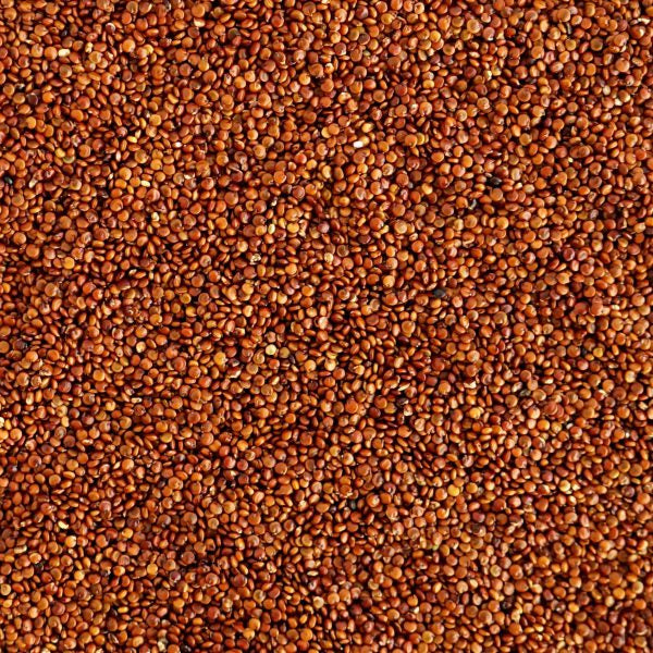 Red quinoa 5 kg package from Papagino Foods Inc., showing a bag of vibrant red quinoa grains on a white background.