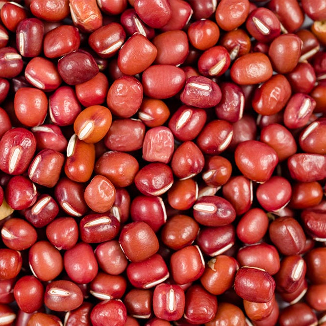 Small red kidney beans from Papagino Foods Inc., 5 kg bag, showing vibrant red beans ready for cooking or recipes.