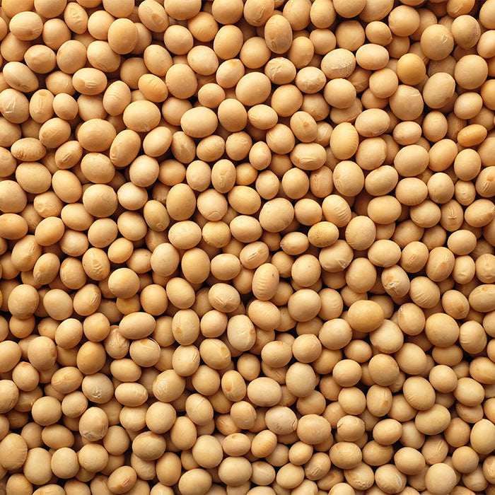 Soy Beans 10 lbs - Papagino Foods Inc. 