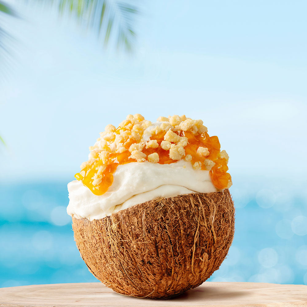 PreGel CrumbOlé Coconut Gluten Free - Papagino Foods Inc. 